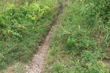 Klang - Johan Setia - Revolusi Hijau Batu 5 - Agriculture Land - For Sales