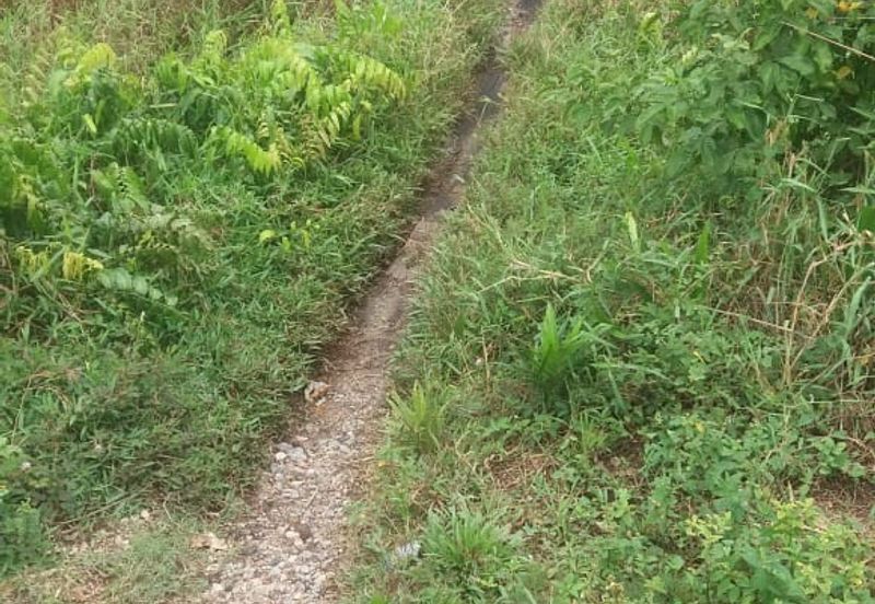 Klang - Johan Setia - Revolusi Hijau Batu 5 - Agriculture Land - For Sales