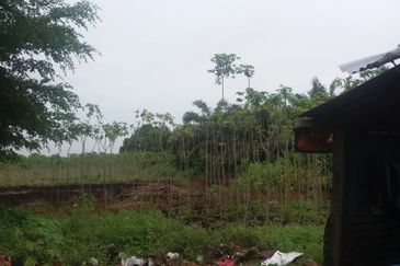 Klang - Johan Setia - Revolusi Hijau Batu 5 - Agriculture Land - For Sales