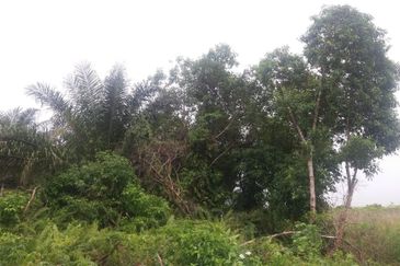 Klang - Johan Setia - Revolusi Hijau Batu 5 - Agriculture Land - For Sales