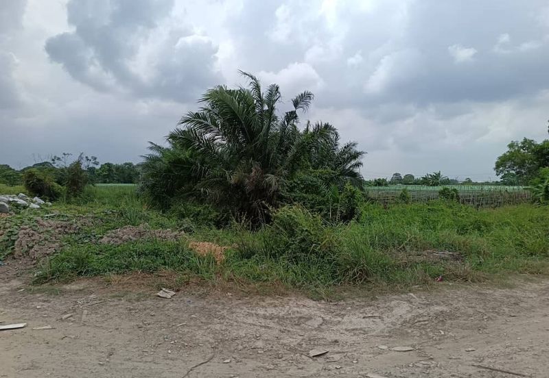 Klang - Johan Setia - Revolusi Hijau Batu 5 - Agriculture Land - For Sales