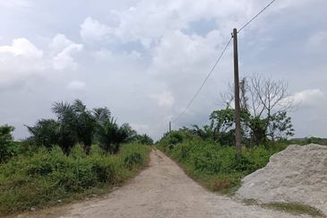 Klang - Johan Setia - Revolusi Hijau Batu 5 - Agriculture Land - For Sales