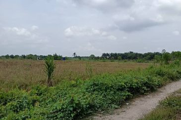 Klang - Johan Setia - Revolusi Hijau Batu 5 - Agriculture Land - For Sales