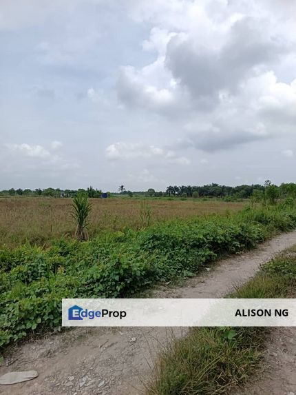 Klang - Johan Setia - Revolusi Hijau Batu 5 - Agriculture Land - For Sales, Selangor, Klang