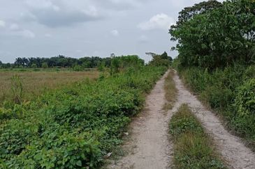 Klang - Johan Setia - Revolusi Hijau Batu 5 - Agriculture Land - For Sales