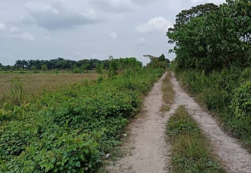 Klang - Johan Setia - Revolusi Hijau Batu 5 - Agriculture Land - For Sales