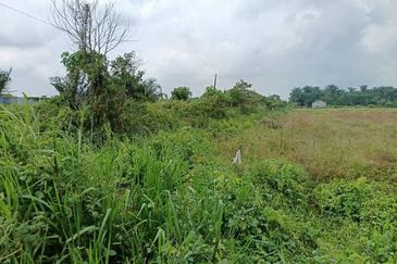 Klang - Johan Setia - Revolusi Hijau Batu 5 - Agriculture Land - For Sales