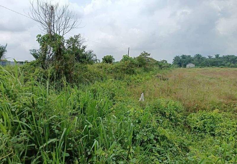 Klang - Johan Setia - Revolusi Hijau Batu 5 - Agriculture Land - For Sales