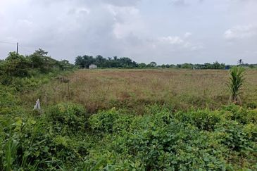 Klang - Johan Setia - Revolusi Hijau Batu 5 - Agriculture Land - For Sales