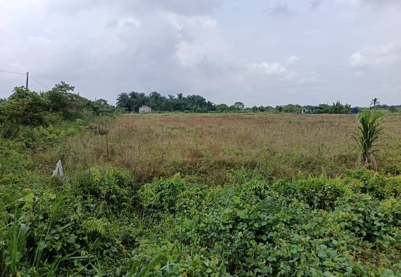Klang - Johan Setia - Revolusi Hijau Batu 5 - Agriculture Land - For Sales