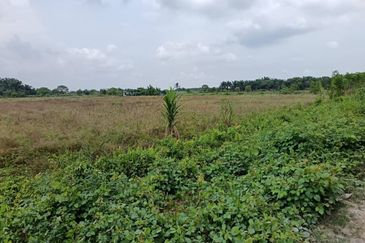 Klang - Johan Setia - Revolusi Hijau Batu 5 - Agriculture Land - For Sales