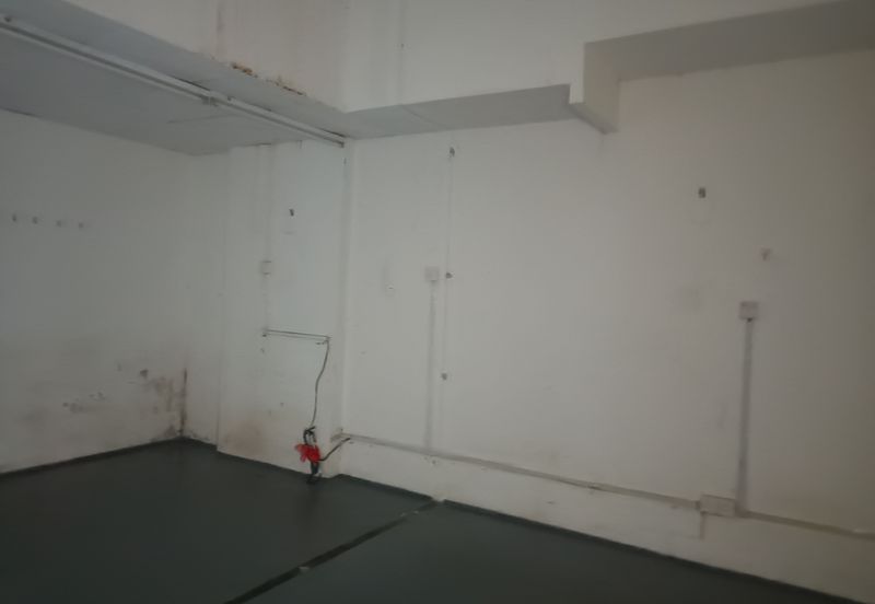 Palm Garden Apartment