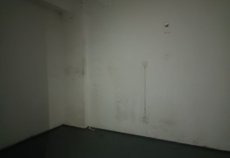 Palm Garden Apartment