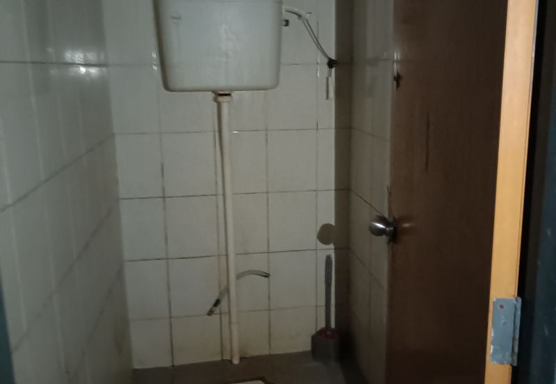 Palm Garden Apartment