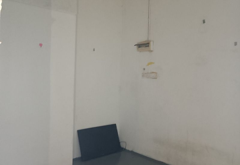 Palm Garden Apartment