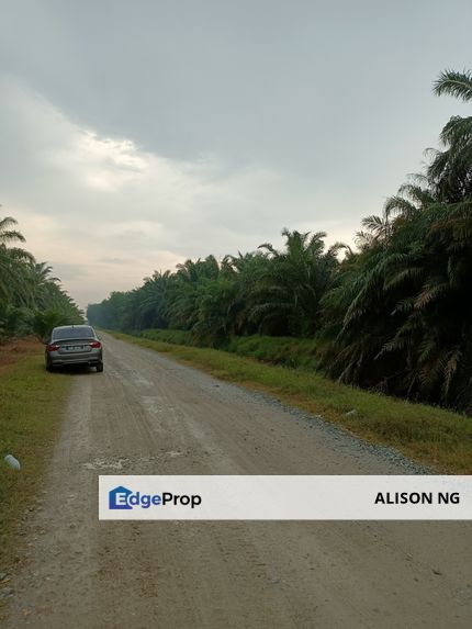 Jenjarom - Sri Cheeding - Agricultural Land - Zoning Industrial -  FOR SALES, Selangor, Jenjarom