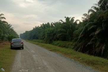 Jenjarom - Sri Cheeding - Agricultural Land - Zoning Industrial -  FOR SALES