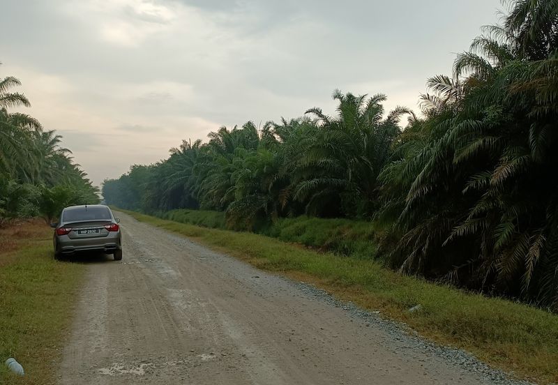 Jenjarom - Sri Cheeding - Agricultural Land - Zoning Industrial -  FOR SALES