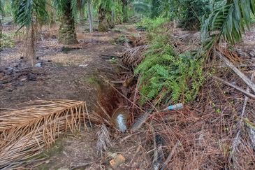 Jenjarom - Sri Cheeding - Agricultural Land - Zoning Industrial -  FOR SALES