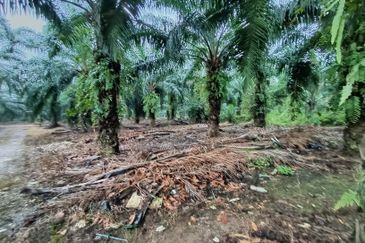 Jenjarom - Sri Cheeding - Agricultural Land - Zoning Industrial -  FOR SALES