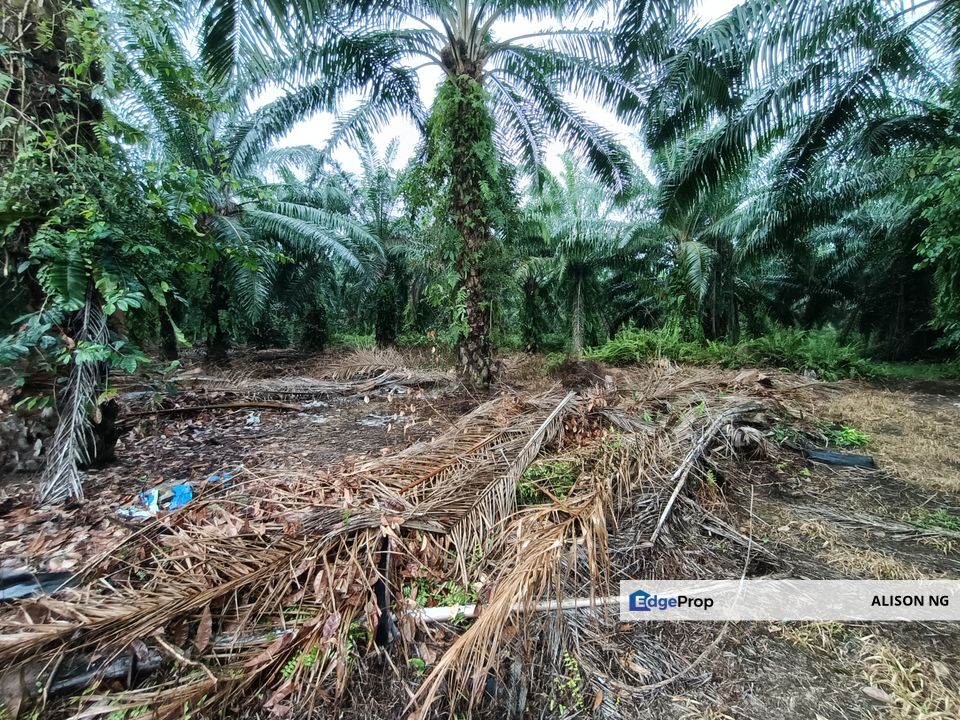 Jenjarom - Sri Cheeding - Agricultural Land - Zoning Industrial -  FOR SALES, Selangor, Jenjarom