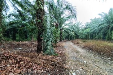 Jenjarom - Sri Cheeding - Agricultural Land - Zoning Industrial -  FOR SALES