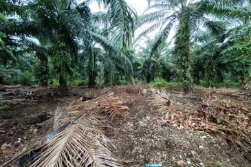 Jenjarom - Sri Cheeding - Agricultural Land - Zoning Industrial -  FOR SALES