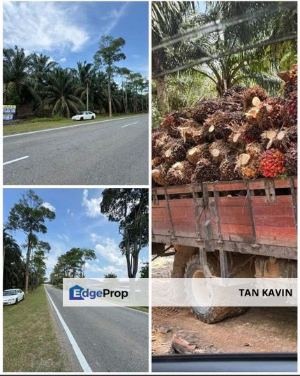 Kulai Land Batu Sedenak 50 acres Land for Sale , Johor, Kulai