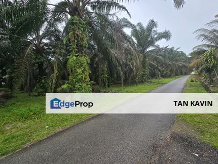 Kota Tinggi Kampung Semangar 5 acres Agricultural Land For Sale, Johor, Ulu Tiram