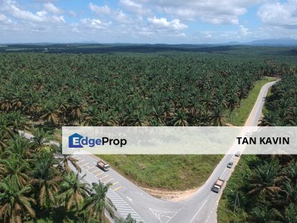 Sedenak Kulai 26.9 acres Agricultural land For Sale , Johor, Kulai