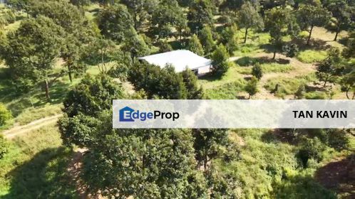 Raub Pahang 8.7 Acres durian Land For Sale , Pahang, Sega