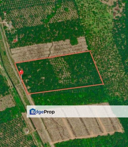 Pontian parit baru 12 acres land for Sale , Johor, Pontian