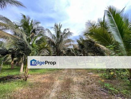 Kluang Agricultural Land 7 acres For Sale , Johor, Kluang