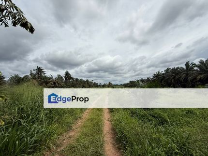 Kluang Simpang Renggam 5 Acres Agricultural Land For Sale , Johor, Kluang