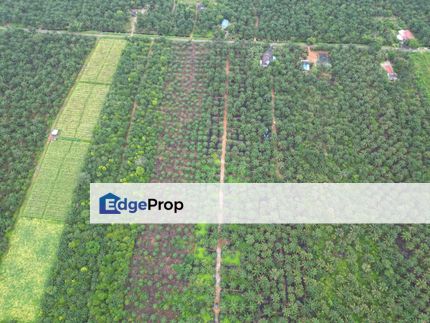 Pontian Benut 6.541 Acres Oil palm Agricultural Land For Sale , Johor, Pontian