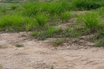 Kuala Balah Jeli Kelantan For Sales