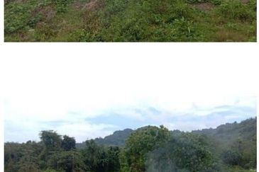 Kuala Balah Jeli Kelantan For Sales