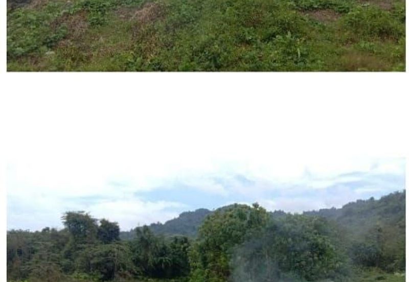 Kuala Balah Jeli Kelantan For Sales