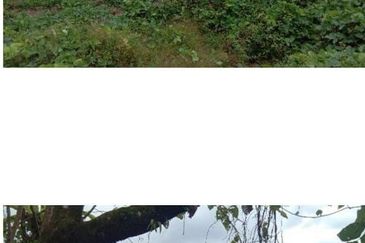 Kuala Balah Jeli Kelantan For Sales