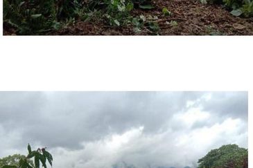 Kuala Balah Jeli Kelantan For Sales