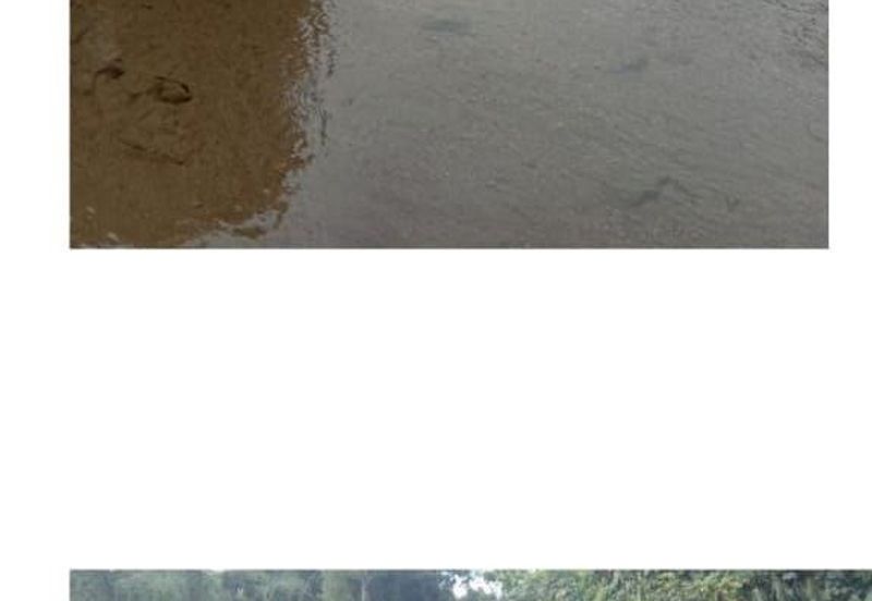 Kuala Balah Jeli Kelantan For Sales