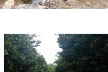 Kuala Balah Jeli Kelantan For Sales