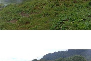 Kuala Balah Jeli Kelantan For Sales