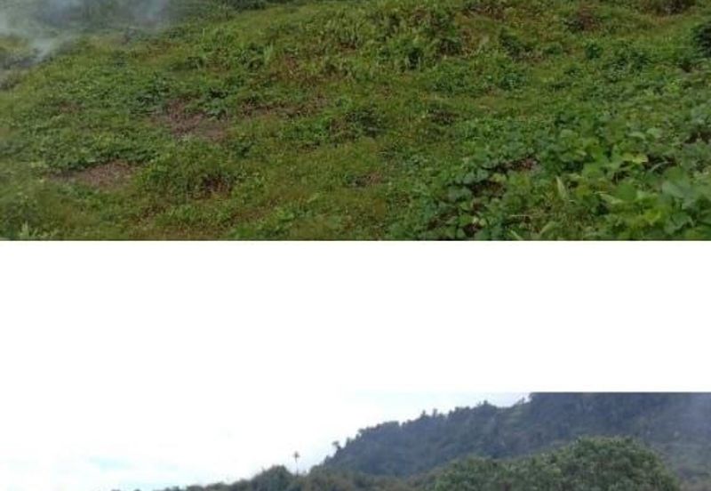 Kuala Balah Jeli Kelantan For Sales