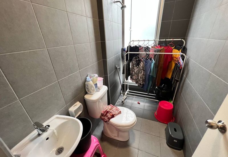 Ebonylane @ Eco Forest