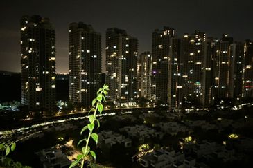 Regalia Park @ Forest City