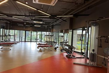 Meridin SOVOs @ Medini