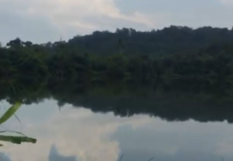 Dengkil agriculture freehold land 40acre for sale