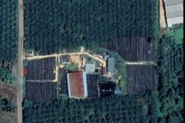 Super Cheap Agricultural Land @ Alor Gajah Melaka