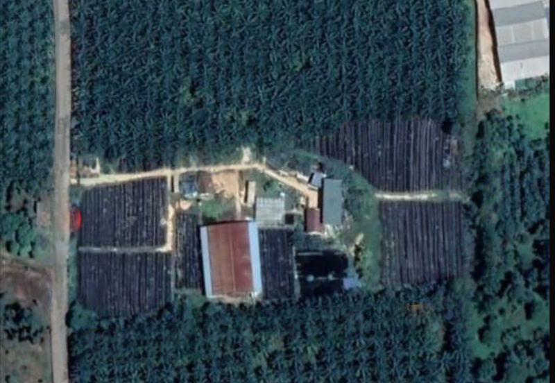 Super Cheap Agricultural Land @ Alor Gajah Melaka